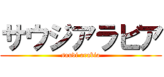 サウジアラビア (saudi arabia)