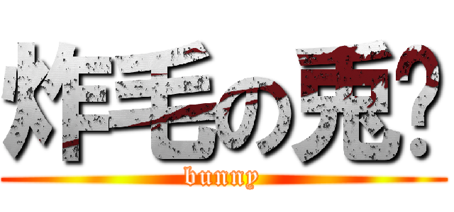 炸毛の兎纸 (bunny)