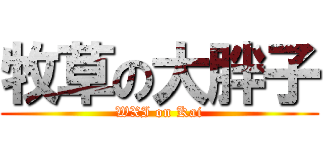 牧草の大胖子 (WXI on Kai)