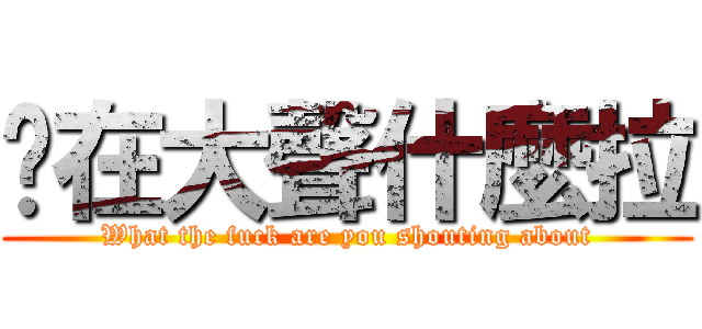 妳在大聲什麼拉 (What the fuck are you shouting about)