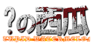 傻の西瓜 (STUPID WATERMELON)