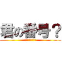 君の番号？ (キミタンイナイヨ)