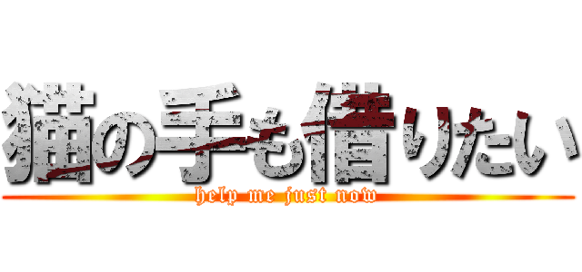 猫の手も借りたい (help me just now)