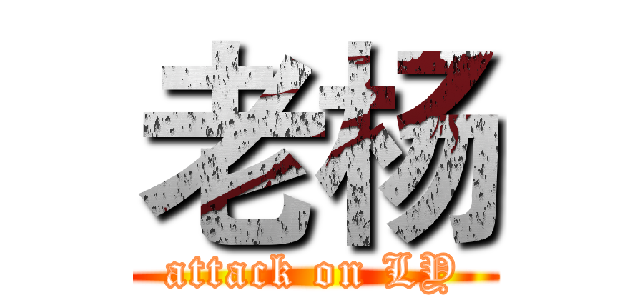 老杨 (attack on LY)