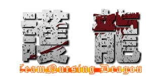 護  龍 (TeamNursing Dragon)