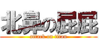 北鼻の屁屁 (attack on titan)