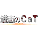 进击のＣａＴ (cat&&cat)