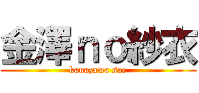 金澤ｎｏ紗衣 (kanazawa sae)