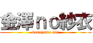 金澤ｎｏ紗衣 (kanazawa sae)