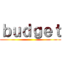 ｂｕｄｇｅｔ ()