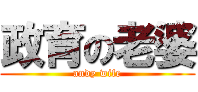 政育の老婆 (andy wife)
