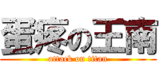 蛋疼の王南 (attack on titan)