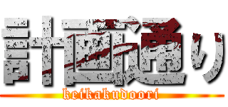 計画通り (keikakudoori)