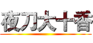 夜刀大十香 ()