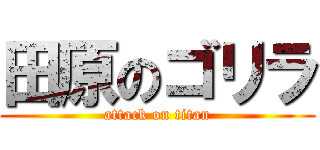 田原のゴリラ (attack on titan)