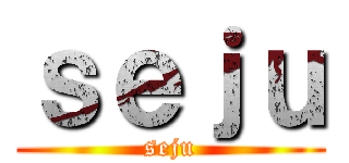 ｓｅｊｕ (seju)