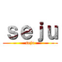 ｓｅｊｕ (seju)