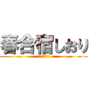 春合宿しおり (ゼミ論　構想)