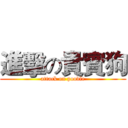 進擊の貴賓狗 (attack on poodle)