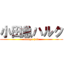 小田急ハルク (odakyu halc)