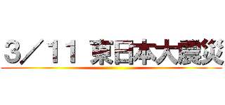 ３／１１ 東日本大震災 ()