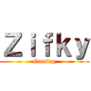 Ｚｉｆｋｙ (Gaming)