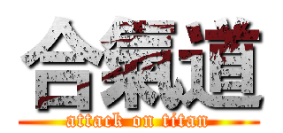 合氣道 (attack on titan)