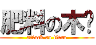 肥料の木污 (attack on titan)