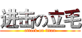 进击の立毛 (attack on titan)