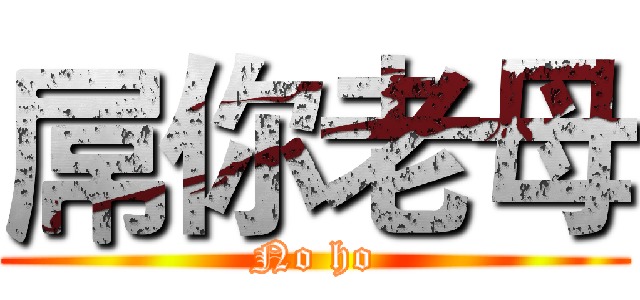 屌你老母 (No ho)