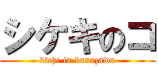 シケキのコ (kichi in kanazawa)