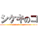 シケキのコ (kichi in kanazawa)