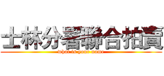 士林分署聯合拍賣 (what is your name)