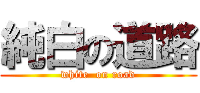 純白の道路 (white  on road)