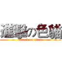進擊の色貓 (attack on titan)