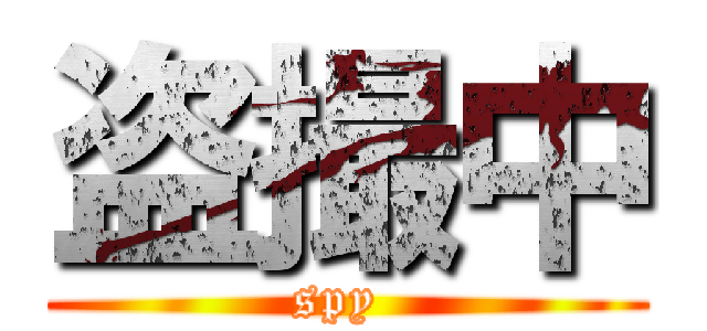 盗撮中 (spy )