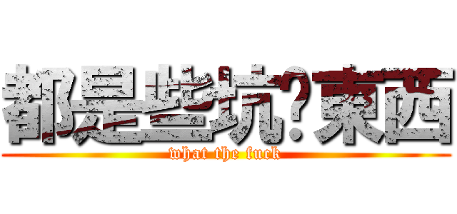 都是些坑爹東西 (what the fuck)