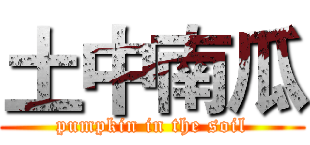 土中南瓜 (pumpkin in the soil)