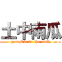 土中南瓜 (pumpkin in the soil)