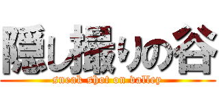 隠し撮りの谷 (sneak shot on valley)