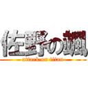 佐野の颯 (attack on titan)