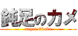 鈍足のカメ (sugoi Obaka)