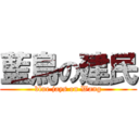 藍鳥の建民 (blue jays on Wang)