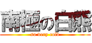 南極の白熊 (so very cold)