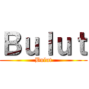 Ｂｕｌｕｔ (Bulut)