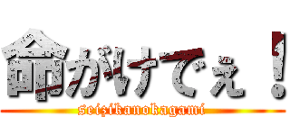 命がけでぇ！ (seizikanokagami)