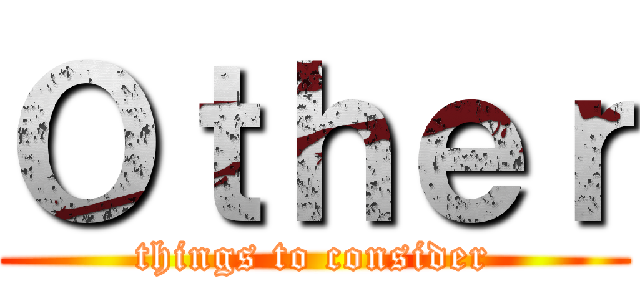 Ｏｔｈｅｒ (things to consider)