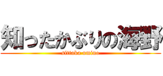 知ったかぶりの海野 (sittaka umino)