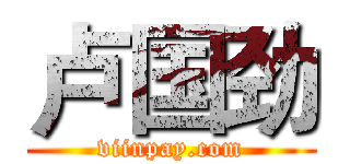 卢国劲 (viinpay.com)