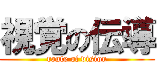 視覚の伝導 (route of vision)